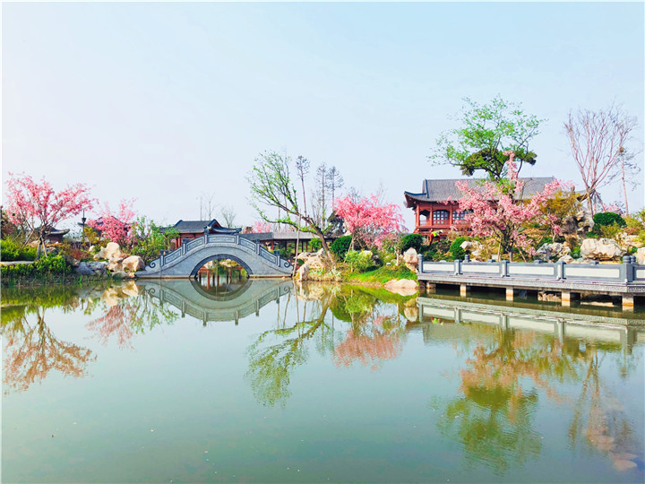 黃有華-韓城國家文史公園瓊島攬月處紅花綠葉，春意盎然。.jpg
